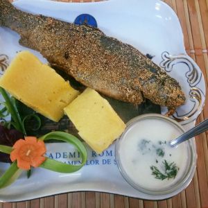 Fotografie Casa Oamenilor de Știință - 1