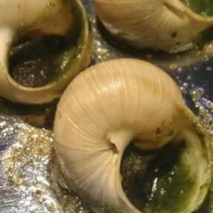 Fotografie La Cantine de Nicolai - 4