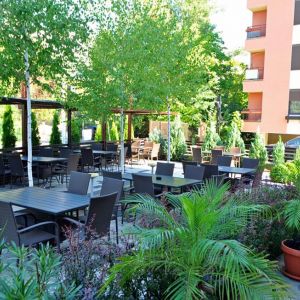 Fotografie GEDI Titan - 4