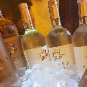 Fotografie Bruno Wine Bar - 1