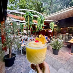 Fotografie Gallery Embassy - 3