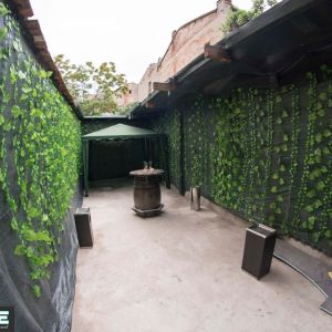 Fotografie Revenge - 3