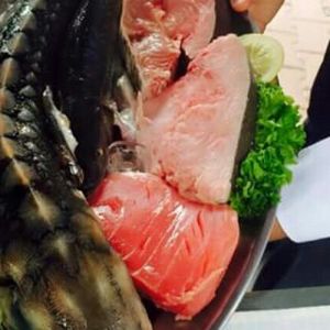 Fotografie Mamma Leone - 0