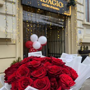 Fotografie Adagio Cismigiu - 0