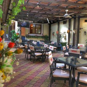 Fotografie Club Art Papillon - 0