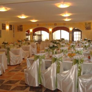 Fotografie Pisica Sălbatică - 0