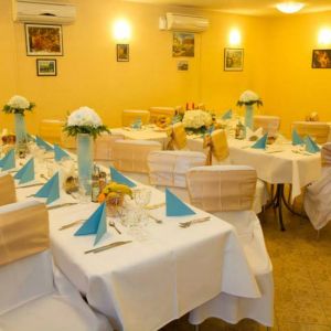 Fotografie Pisica Sălbatică - 2