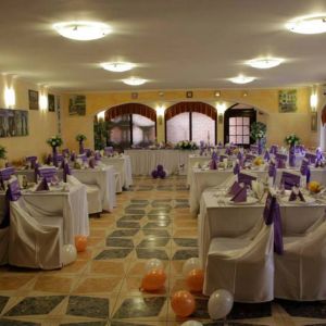 Fotografie Pisica Sălbatică - 4