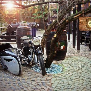 Fotografie Piranha - 0