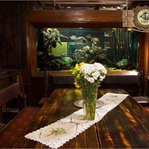 Fotografie Piranha - 1