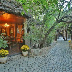 Fotografie Piranha - 2