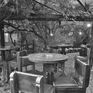 Fotografie Piranha - 4