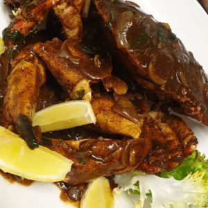 Fotografie Le Vivier - 14