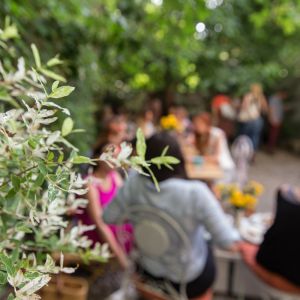 Fotografie Arome - 2