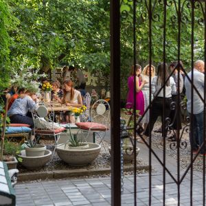 Fotografie Arome - 4