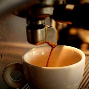 Fotografie Rue Du Pain Floreasca - 1