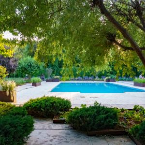 Fotografie Grădina Floreasca - 0