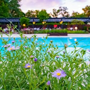 Fotografie Grădina Floreasca - 1