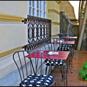 Fotografie Bernschutz & Co Tea - Icoanei - 2