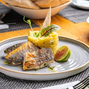 Fotografie Sharkia - 4