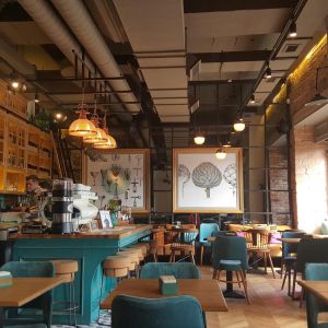 Fotografie Bujole - 0