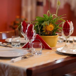 Fotografie Pensiunea Șapte - 4