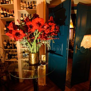 Fotografie Sax with friends - 0