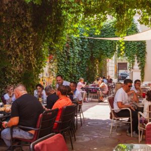 Fotografie Lente Lupu - 0