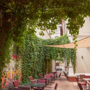 Fotografie Lente Lupu - 3