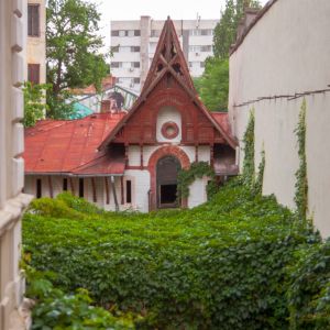 Fotografie Lente Lupu - 8