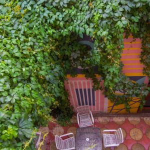 Fotografie Lente Lupu - 9