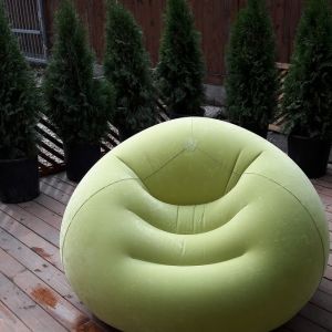 Fotografie No Rules - 2