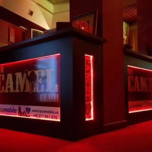 Fotografie Da Camel Club - 3