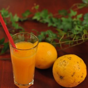 Fotografie Lotus Restaurant - 1