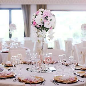 Fotografie Da Vinci - 0