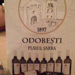 Fotografie Hotel-Restaurant Vila Rao - 4