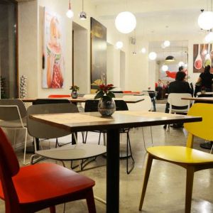 Fotografie New Croco - 0