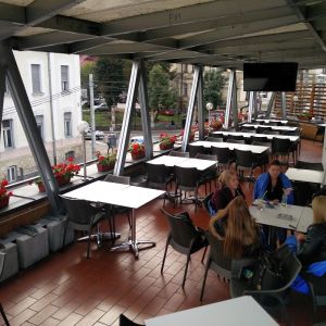 Fotografie New Croco - 4