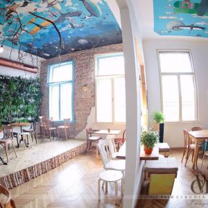 Fotografie Yolka - 0