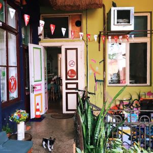 Fotografie Yolka - 3