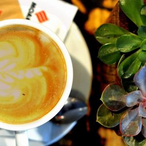 Fotografie Junkyard Pub - 1