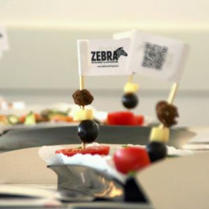 Fotografie Zebra - 1