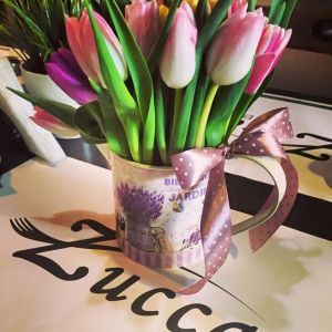 Fotografie Zucca Bistro - 4