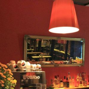 Fotografie Maimuța Plângătoare - 1