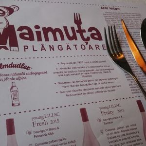 Fotografie Maimuța Plângătoare - 2