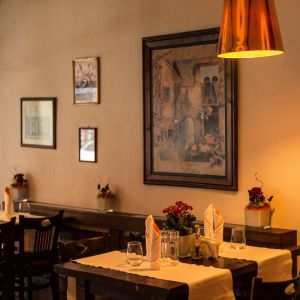 Fotografie Maimuța Plângătoare - 3