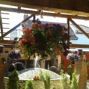 Fotografie Vila 69 - 2