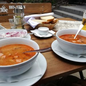 Fotografie Pensiunea Roata Faget - 1