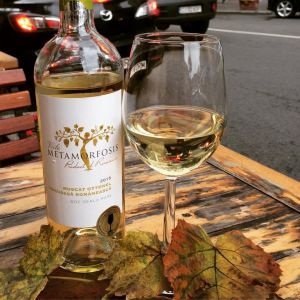 Fotografie Sisters Cafe - 3