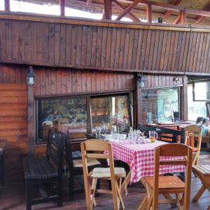 Fotografie Casa Vikingilor Hasdeu - 4